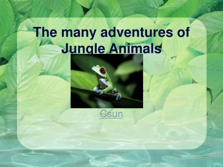 the many adventures of jungle animals