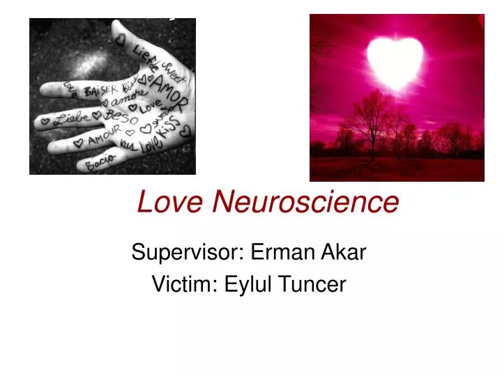 love neuroscience