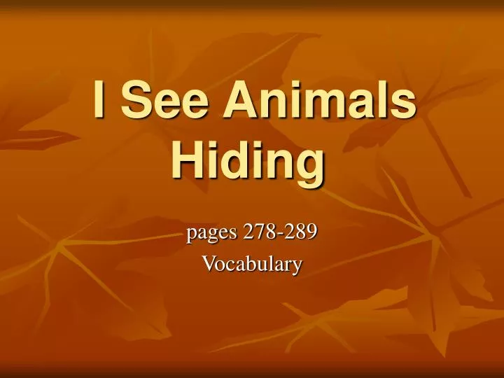 i see animals hiding