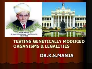 TESTING GENETICALLY MODIFIED ORGANISMS &amp; LEGALITIES