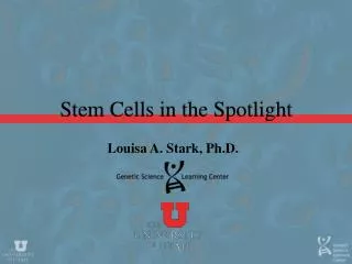 Stem Cells in the Spotlight