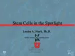 Stem Cells in the Spotlight - slide 1