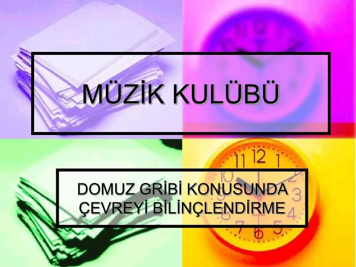 m z k kul b