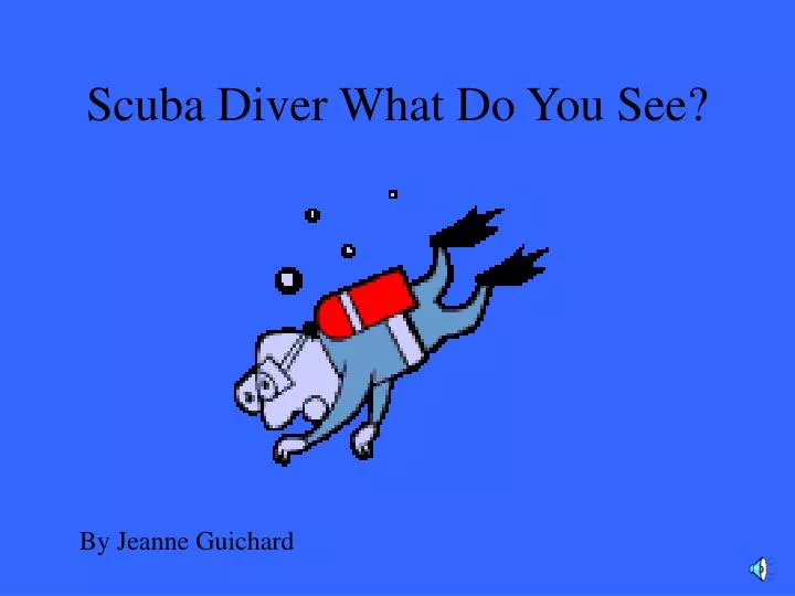 scuba diver what do you see