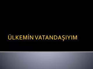 lkem n vatanda iyim