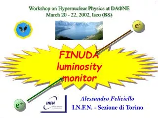 FINUDA luminosity monitor