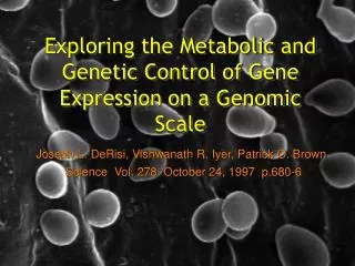 Exploring the Metabolic and Genetic Control of Gene Expression on a Genomic Scale