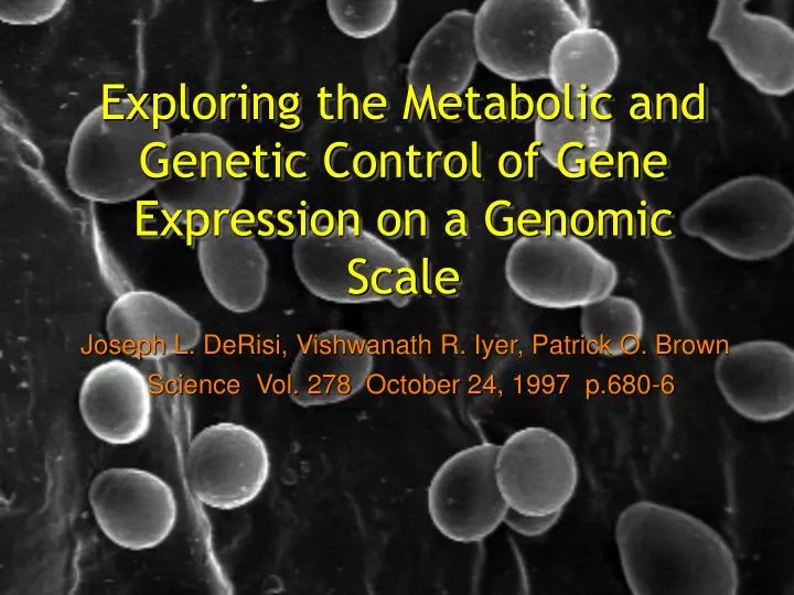 exploring the metabolic and genetic control of gene expression on a genomic scale