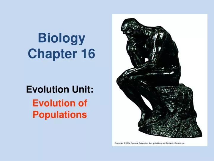 biology chapter 16