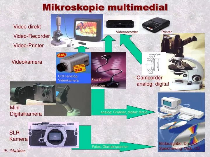 mikroskopie multimedial