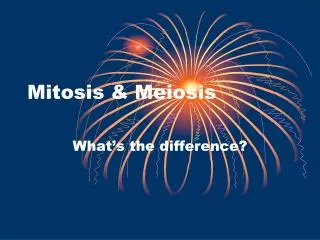 Mitosis &amp; Meiosis