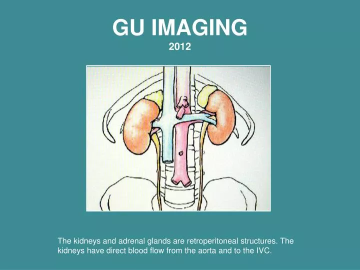 gu imaging 2012