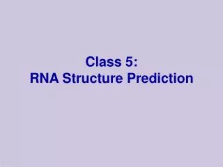 Class 5: RNA Structure Prediction