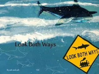 Look Both Ways