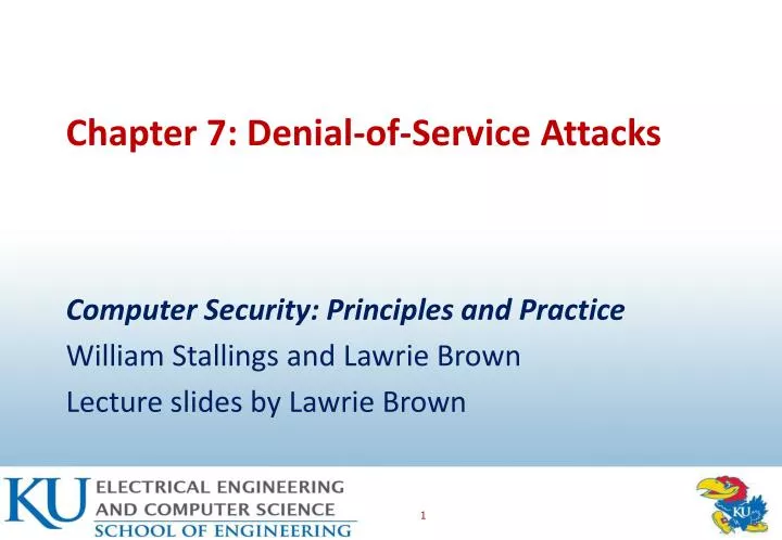 chapter 7 denial of service attacks
