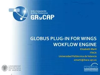 GLOBUS PLUG-IN FOR WINGS WOKFLOW ENGINE