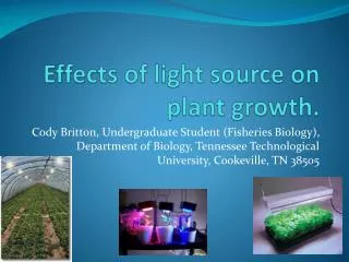 Effects of light source on plant growth.
