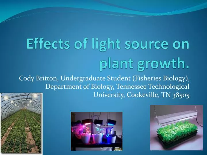 effects of light source on plant growth