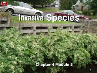 Invasive Species