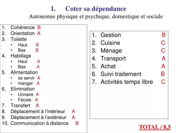 coter sa d pendance autonomie physique et psychique domestique et sociale