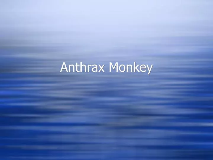 anthrax monkey