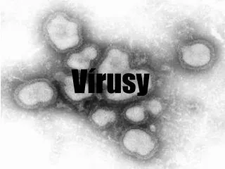 v rusy