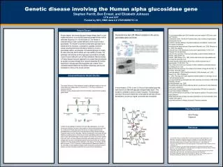 Genetic disease involving the Human alpha glucosidase gene