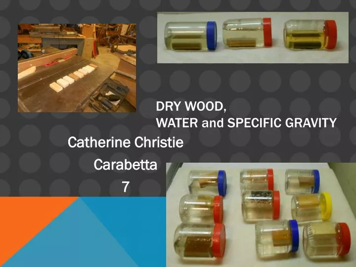 dry wood water and specific gravity