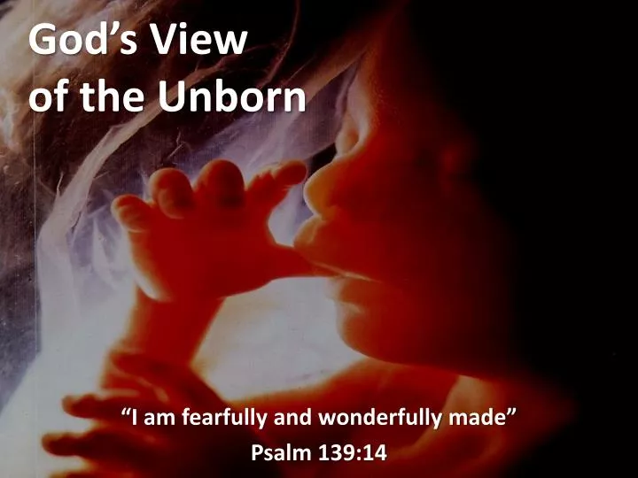 god s view of the unborn