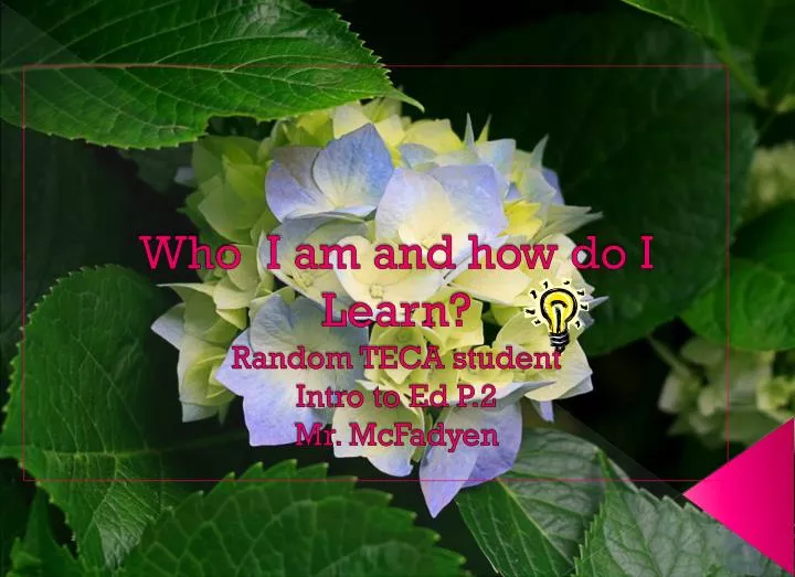 who i am and how do i learn random teca student intro to ed p 2 mr mcfadyen
