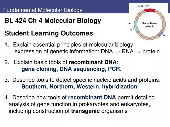 fundamental molecular biology