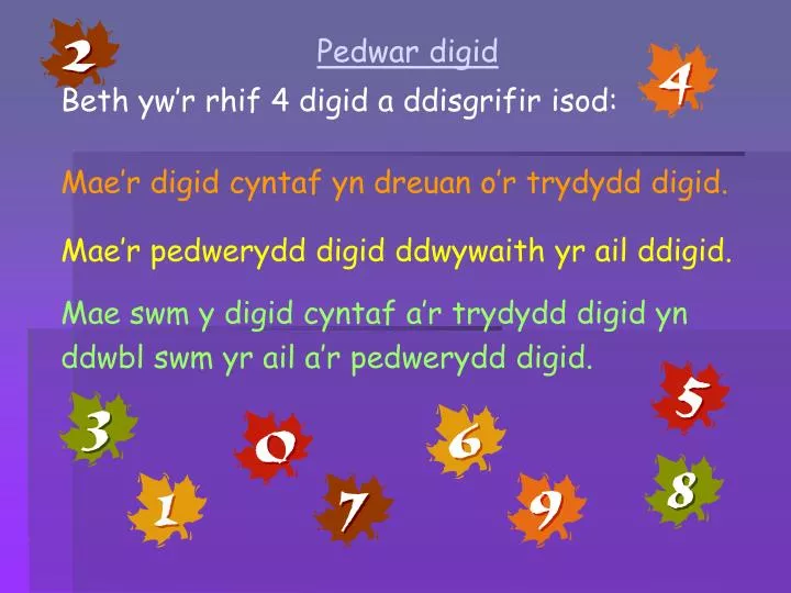 pedwar digid