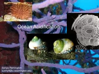 Ocean Acidification