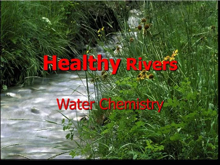 healthy rivers