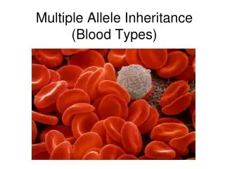 Multiple Allele Inheritance (Blood Types)