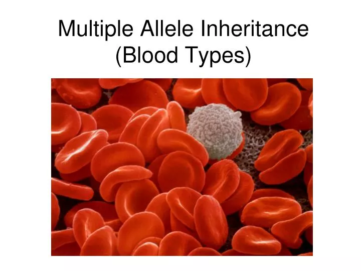 multiple allele inheritance blood types