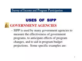USES OF SIPP GOVERNMENT AGENCIES