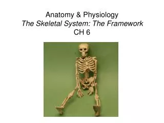 Anatomy &amp; Physiology The Skeletal System: The Framework CH 6
