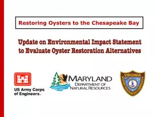 Restoring Oysters to the Chesapeake Bay