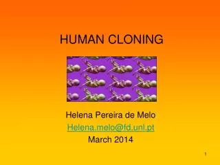 HUMAN CLONING