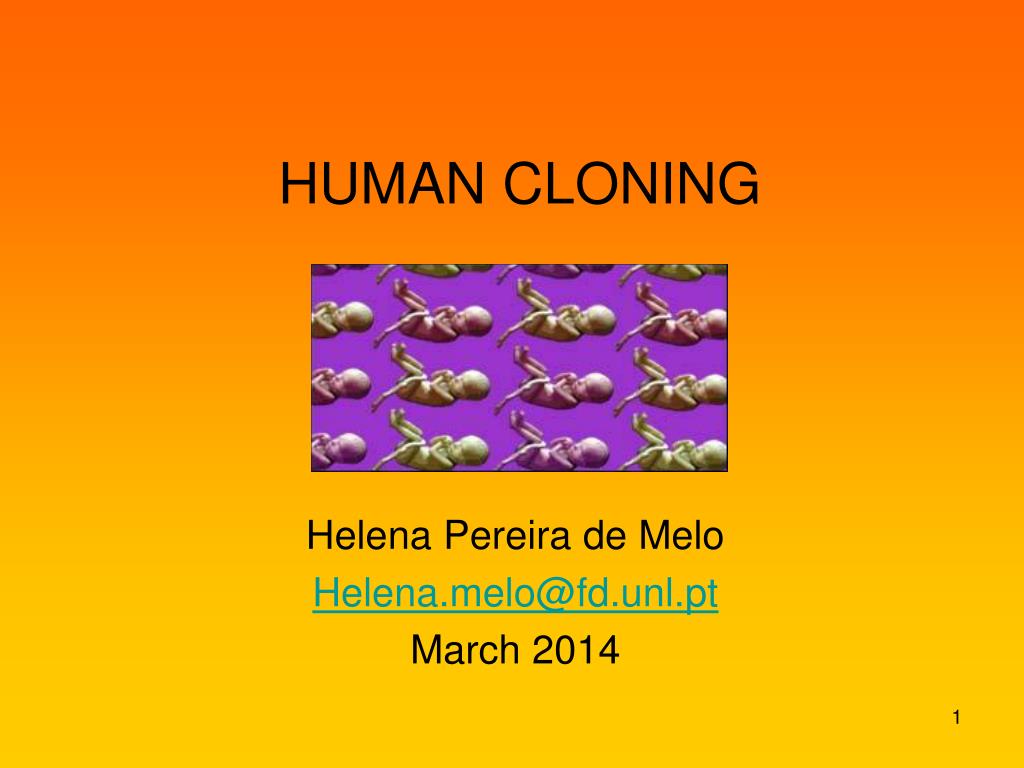 PPT - HUMAN CLONING PowerPoint Presentation, free download - ID:5175242