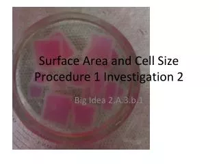 Surface Area and Cell Size Procedure 1 Investigation 2
