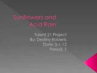 sunflowers and acid rain