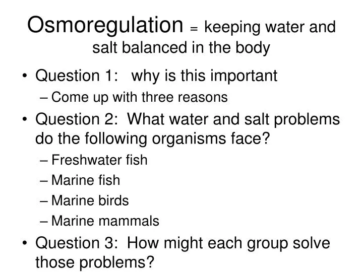 osmoregulation keeping water and salt balanced in the body