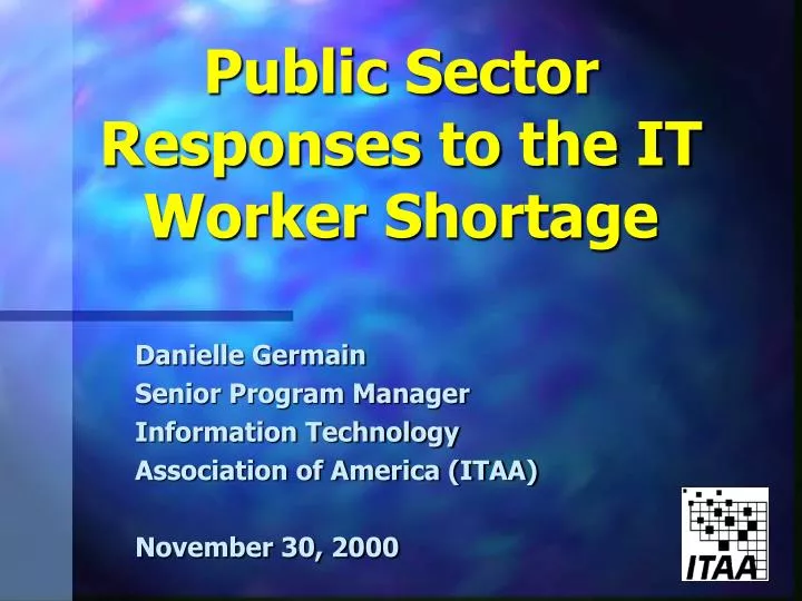 public sector responses to the it worker shortage