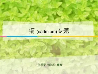 cadmium