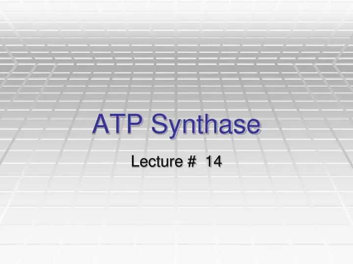 atp synthase