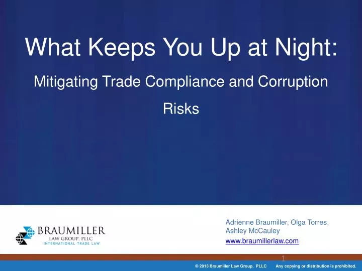 what keeps you up at night mitigating trade compliance and corruption risks