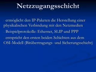 netzzugangsschicht