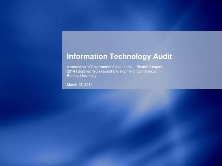 information technology audit
